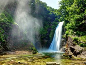 仙台市の接骨院｜交通事故【あろは整骨院】むち打ち・腰痛・ヘルニア・手足のしびれ・むちうち・転院・各種保険手続・女性スタッフ