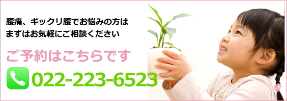 仙台市の接骨院｜交通事故【あろは整骨院】むち打ち・腰痛・ヘルニア・手足のしびれ・むちうち・転院・各種保険手続・女性スタッフ