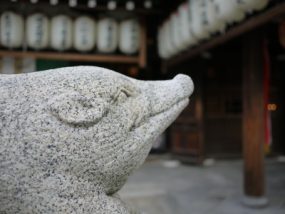 仙台市の接骨院｜交通事故【あろは整骨院】むち打ち・腰痛・ヘルニア・手足のしびれ・むちうち・転院・各種保険手続・女性スタッフ