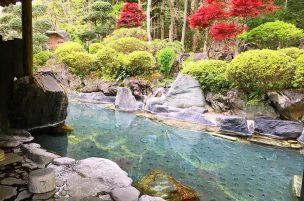 仙台市の接骨院｜交通事故【あろは整骨院】むち打ち・腰痛・ヘルニア・手足のしびれ・むちうち・転院・各種保険手続・女性スタッフ・プライベートレッスンの完全予約制